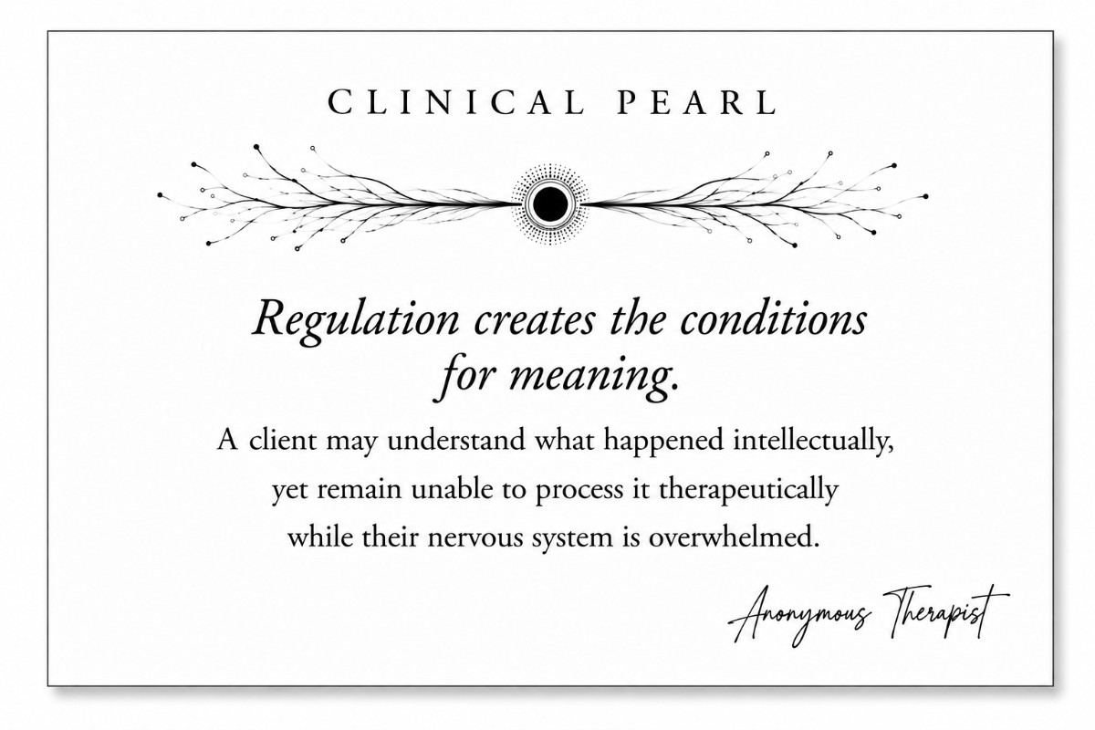 Regulation Creates the Conditions for Meaning